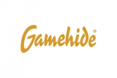 gamehide