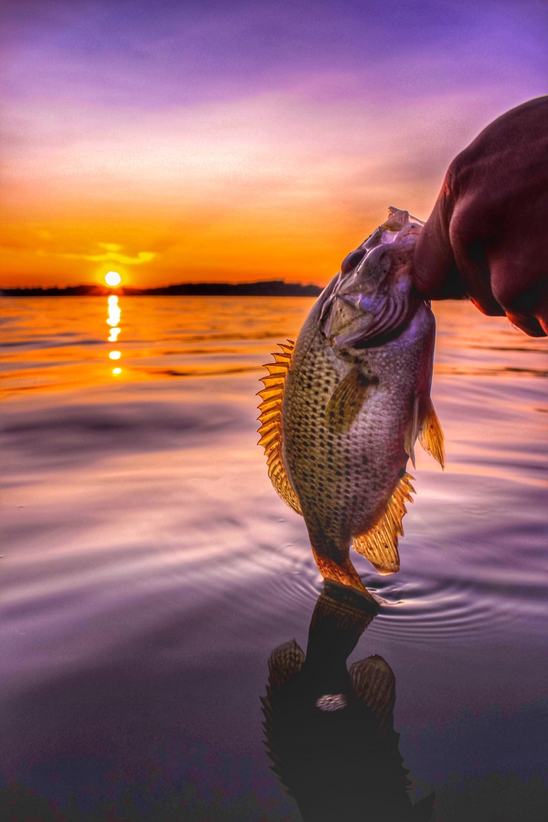 Last Cast of the Night