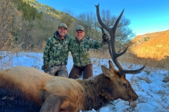 Colorado Bull Elk