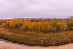 Fall on the Little Missouri