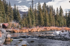 Stream Side at the Rocky Mountains