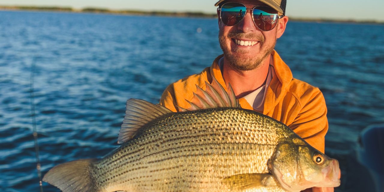 Big Devils Lake White Bass