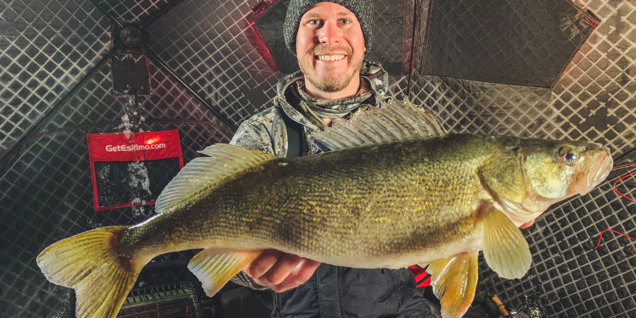 26" Devils Lake Walleye