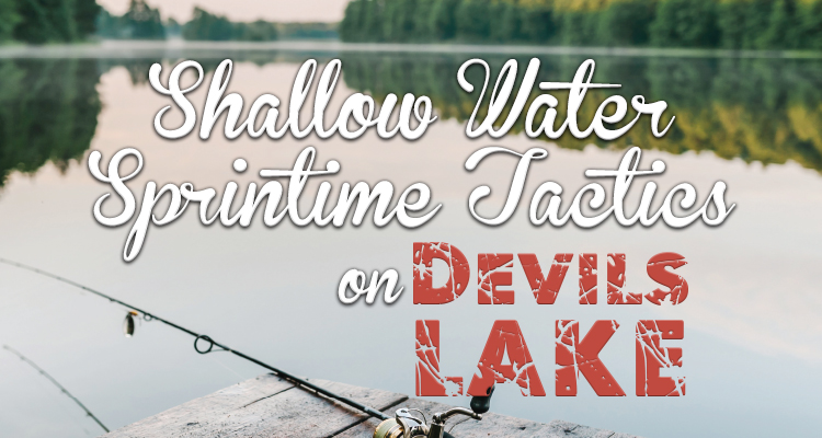 Shallow Water Tactics