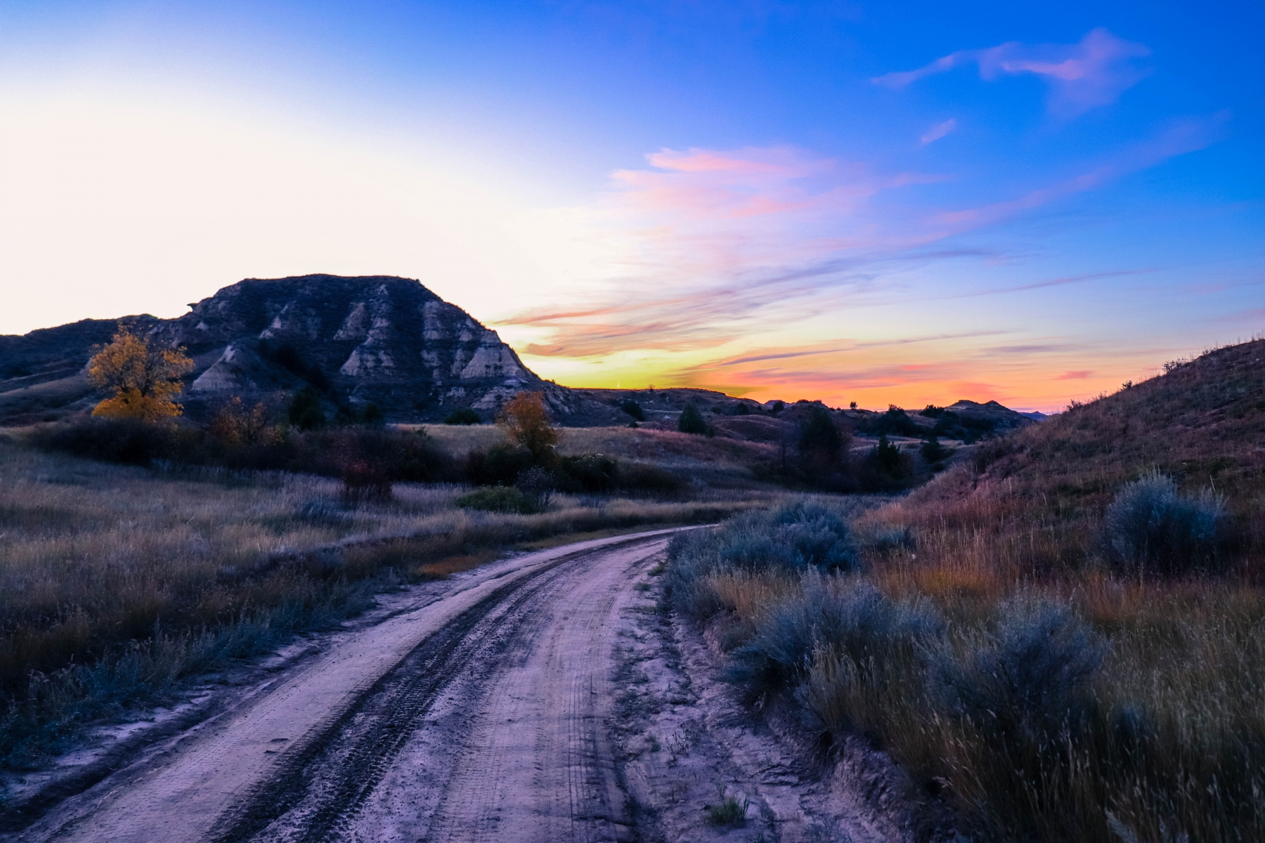 Taking the Path Less Traveled is Always Best