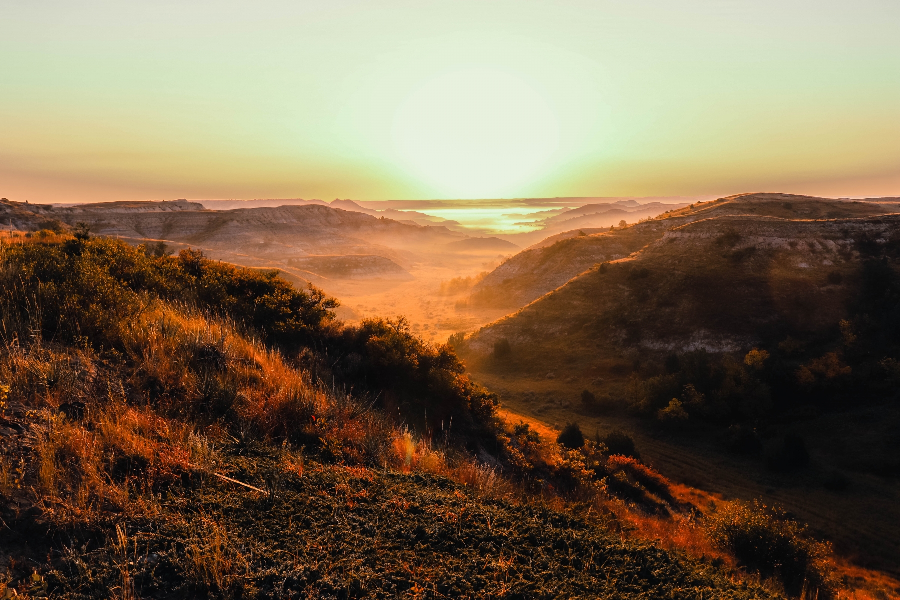 Foggy Morning in the Badlands