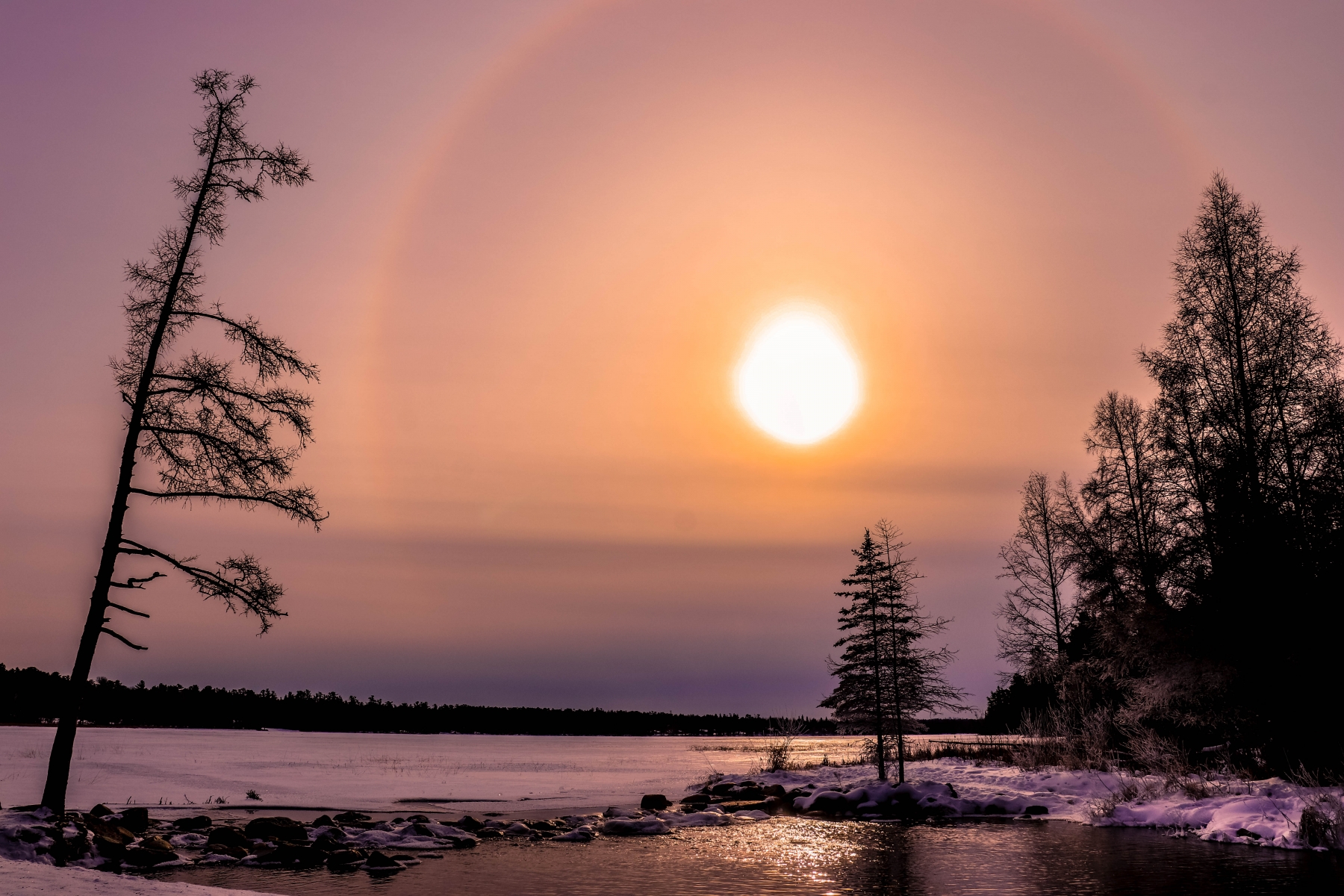 Northwoods Sun Dog