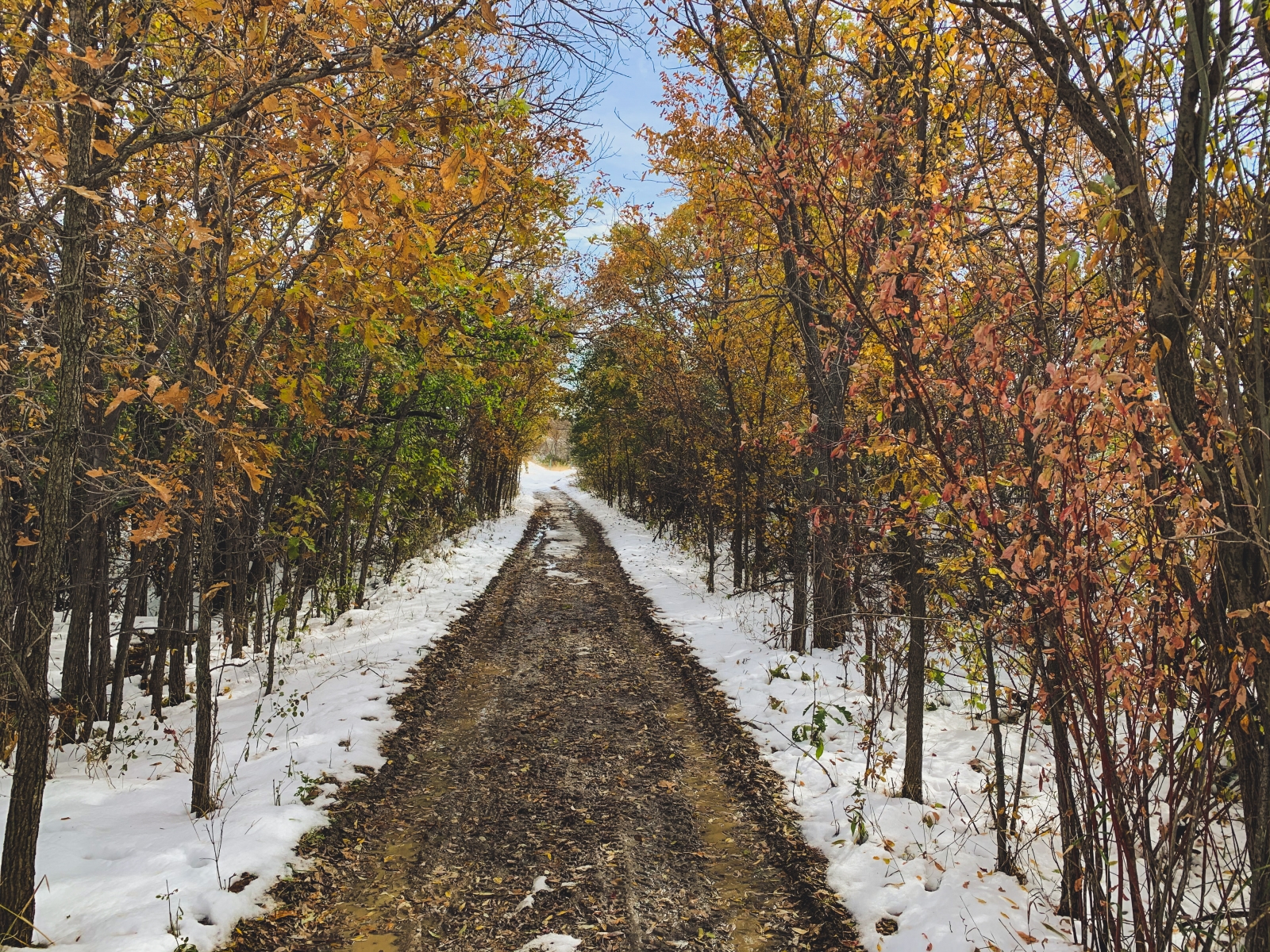 The Path Less Traveled