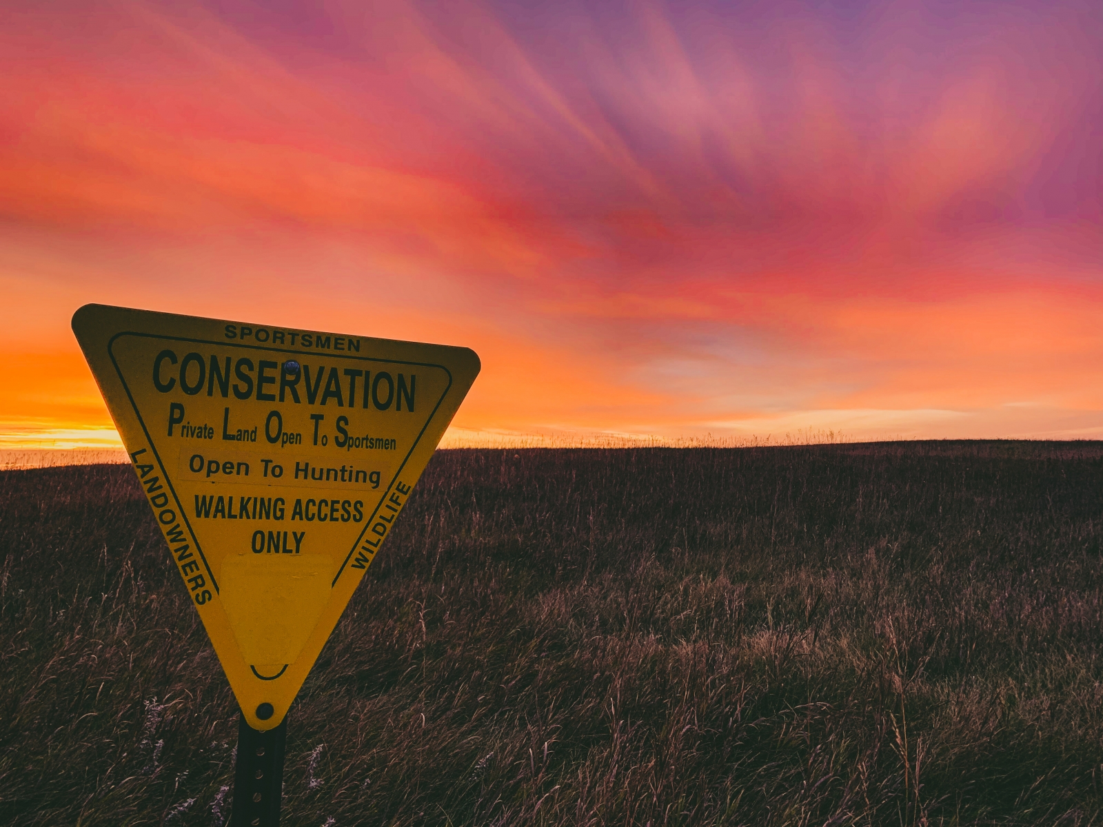 Sunrise on the Prairie