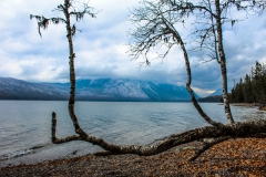 Montana Mountain Lake Picnic Spot