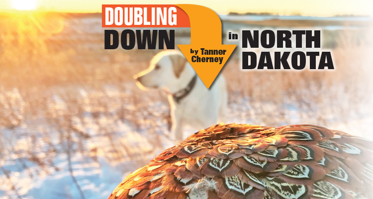 Doubling Down in North Dakota